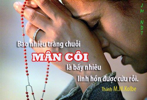 kinh Mân côi. lời kinh mân côi, cầu nguyện cho các linh hồn qua lời kinh Mân côi