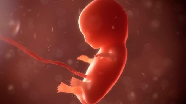 thánh lễ an táng hài nhi, kinh cầu cho các thai nhi, phá thai và quyền giải vạ tuyệt thông