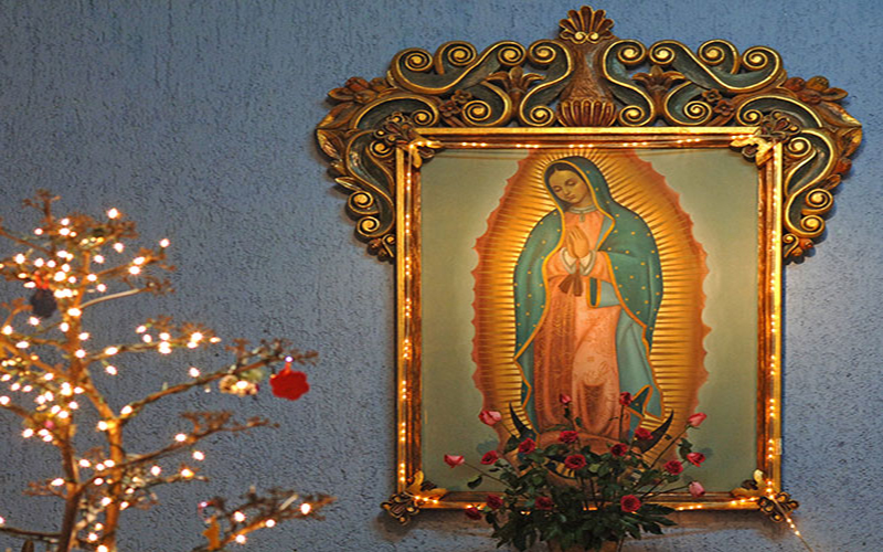 ĐTC sẽ cử hành lễ Đức Mẹ Guadalupe và ban ơn Toàn xá 