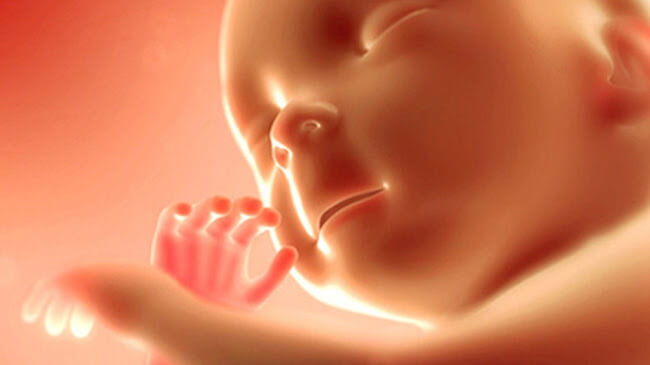 tiếng kêu cứu của thai nhi, cầu cho sự sống, phá thai là phạm tội trọng