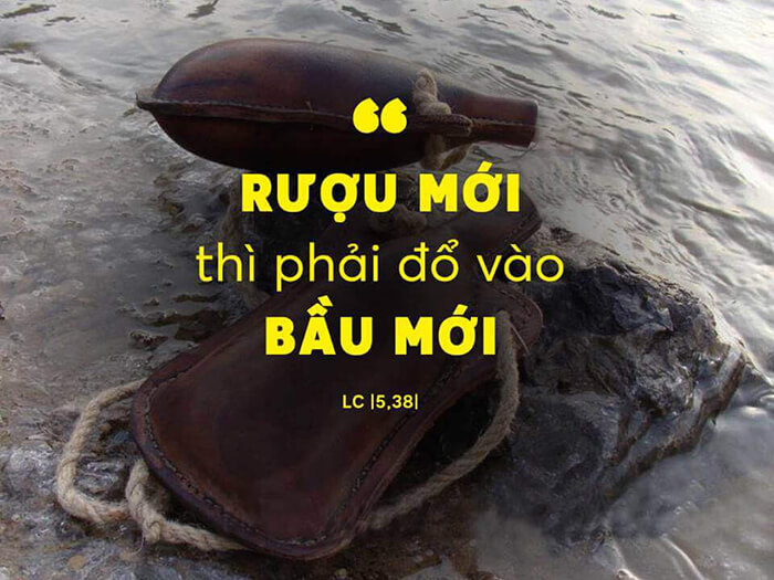 rượu mới bầu da mới