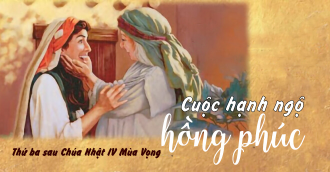 cuộc hạnh ngộ hồng phúc