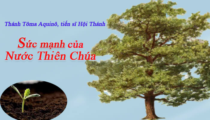 Sức mạnh của Nước Thiên Chúa