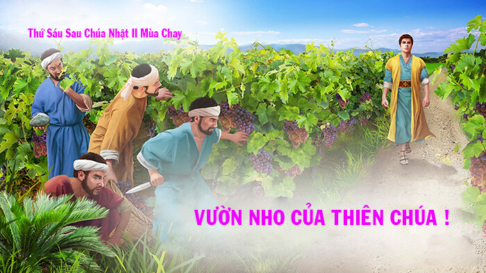 vườn nho của thiên chúa