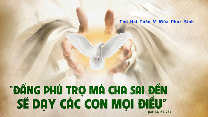 Anh em hãy yêu mến Thiên Chúa !