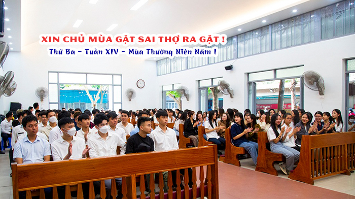 Xin Chủ mùa gặt sai thợ ra gặt !