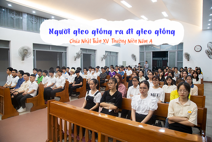 Người gieo giống ra đi gieo giống