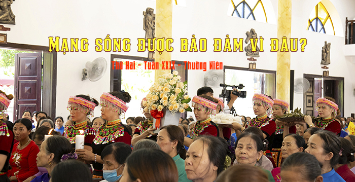 mang-song-duoc-bao-dam-vi-dau