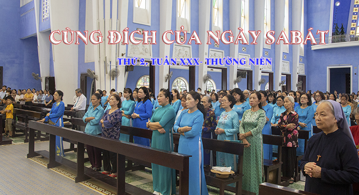 cung-dich-ngay-sa-bat