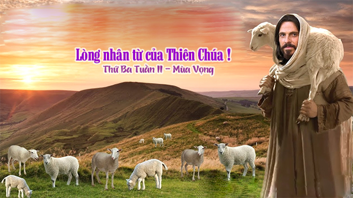 Lòng nhân từ của Thiên Chúa !