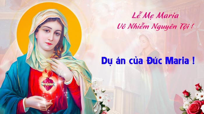 Dự án của Đức Maria !