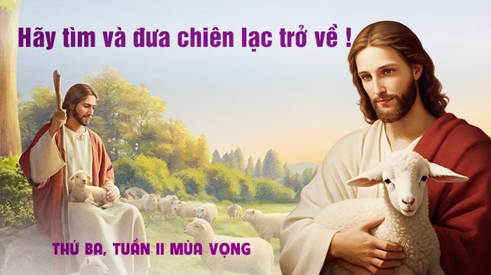 Hãy tìm và đưa chiên lạc trở về !