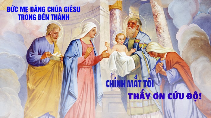 Chính mắt tôi thấy ơn cứu độ !