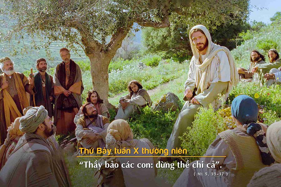 hay-song-trong-su-that