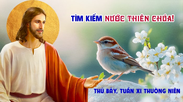 Tìm kiếm Nước Thiên Chúa!