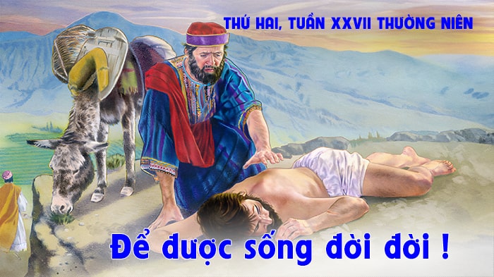 De-duoc-song-doi-doi