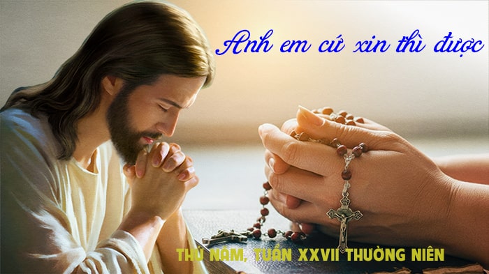 Anh em cứ xin thì được !