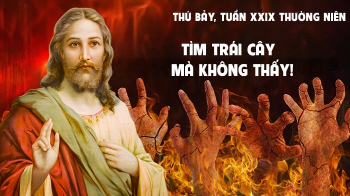 Tìm trái cây mà không thấy !