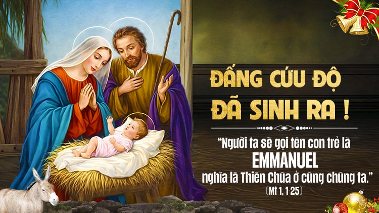 Đấng Cứu Độ đã sinh ra