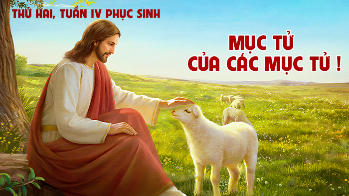Mục Tử của các mục tử !