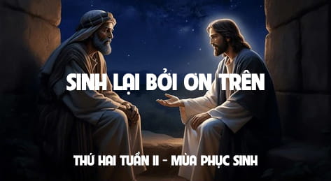 Sinh lại bởi Ơn Trên