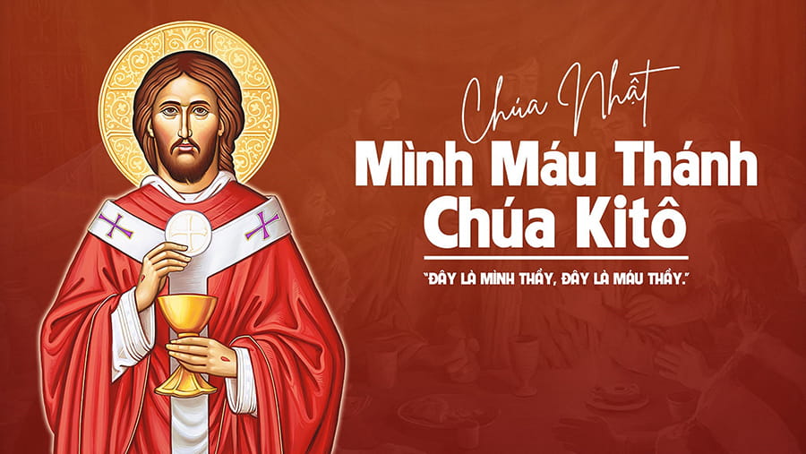 Tôi là Bánh Trường Sinh ! 